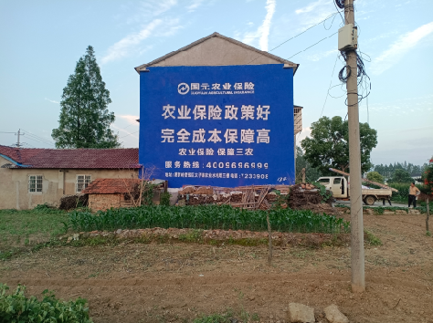 迪庆墙体广告的优劣势你知道吗？