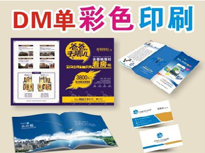 迪庆单页印刷，色彩搭配简单。
